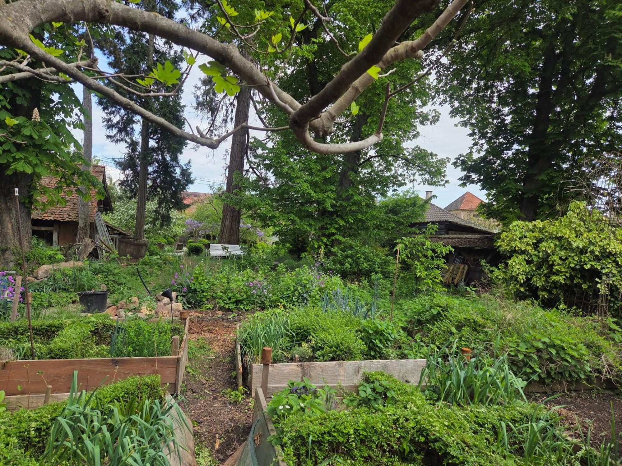 Le Temps Des Cigognes Villa Бар Екстериор снимка