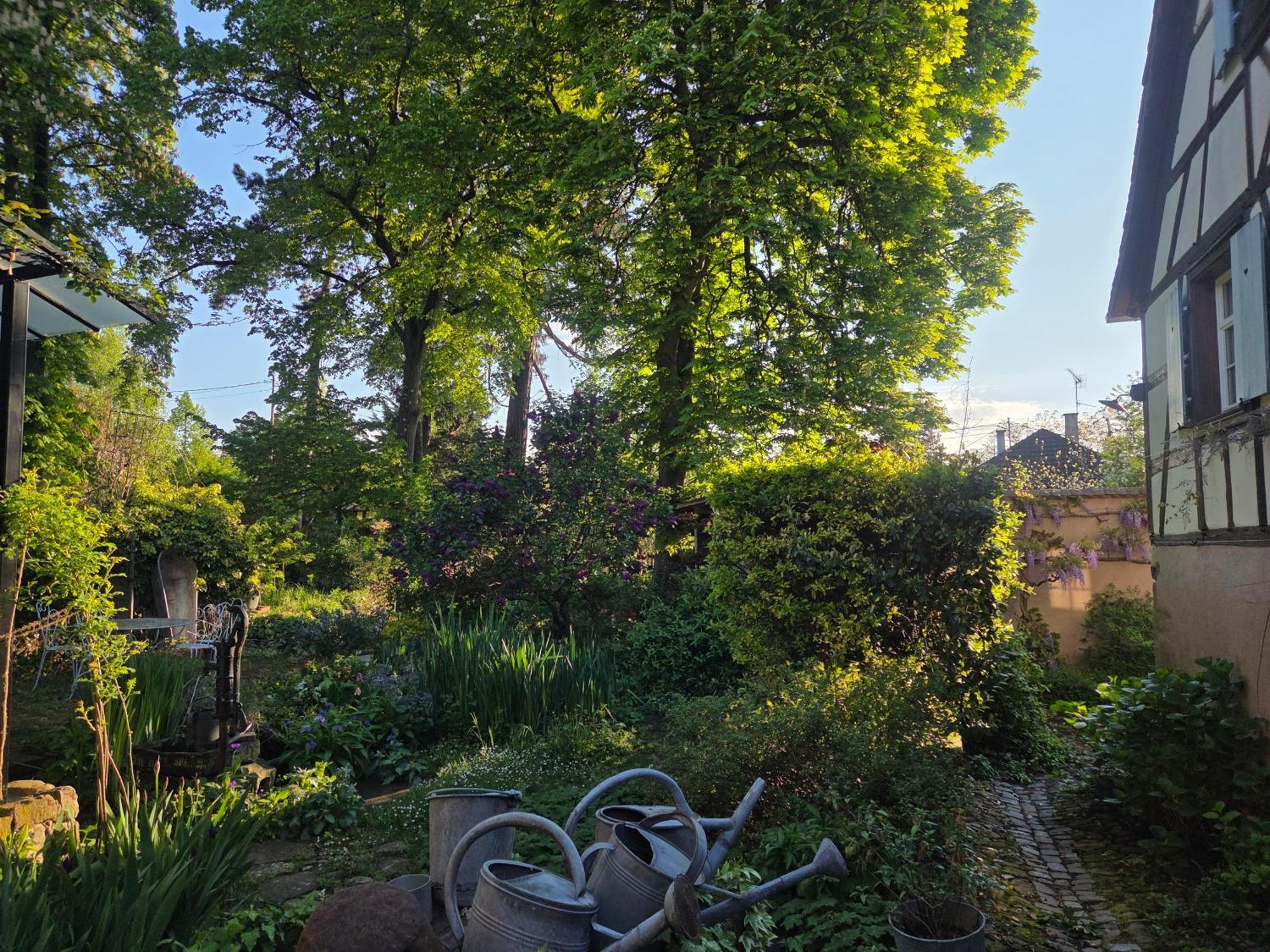 Le Temps Des Cigognes Villa Бар Екстериор снимка