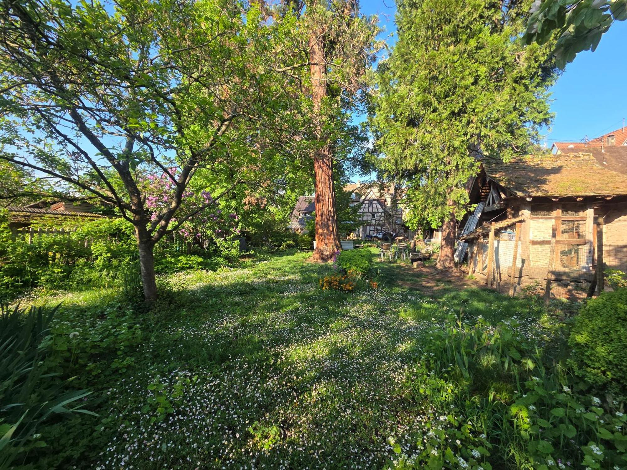 Le Temps Des Cigognes Villa Бар Екстериор снимка