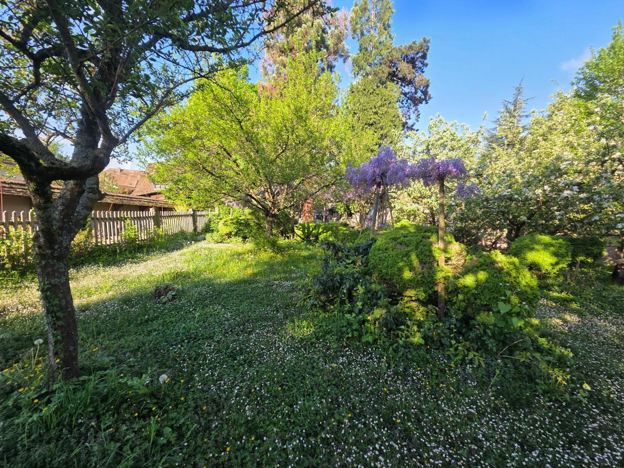 Le Temps Des Cigognes Villa Бар Екстериор снимка