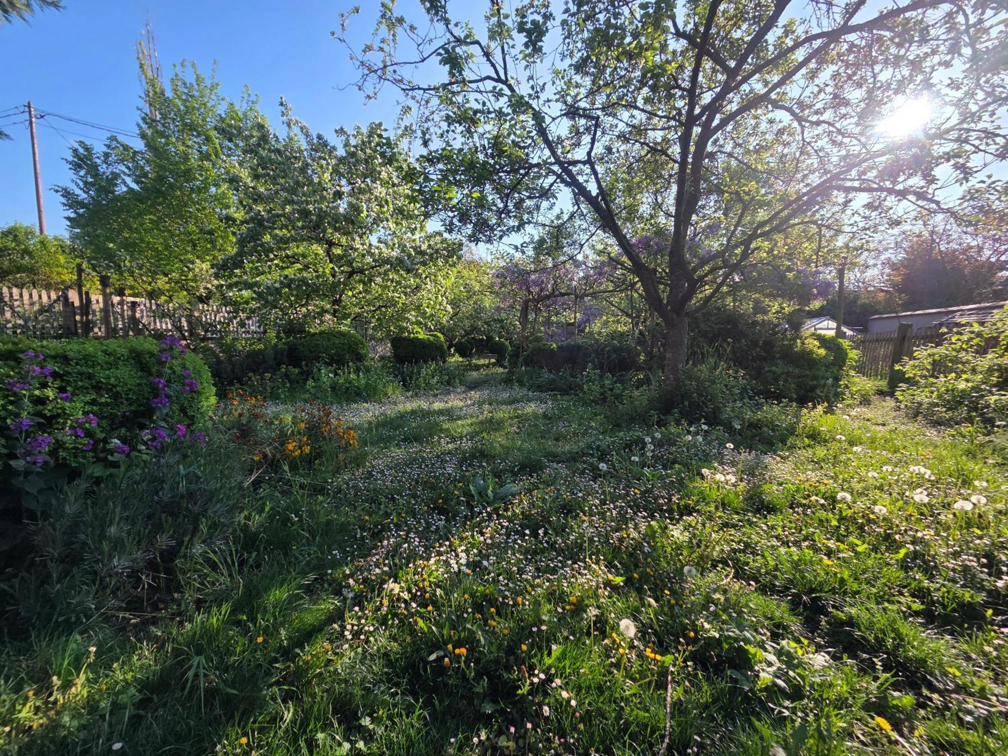 Le Temps Des Cigognes Villa Бар Екстериор снимка