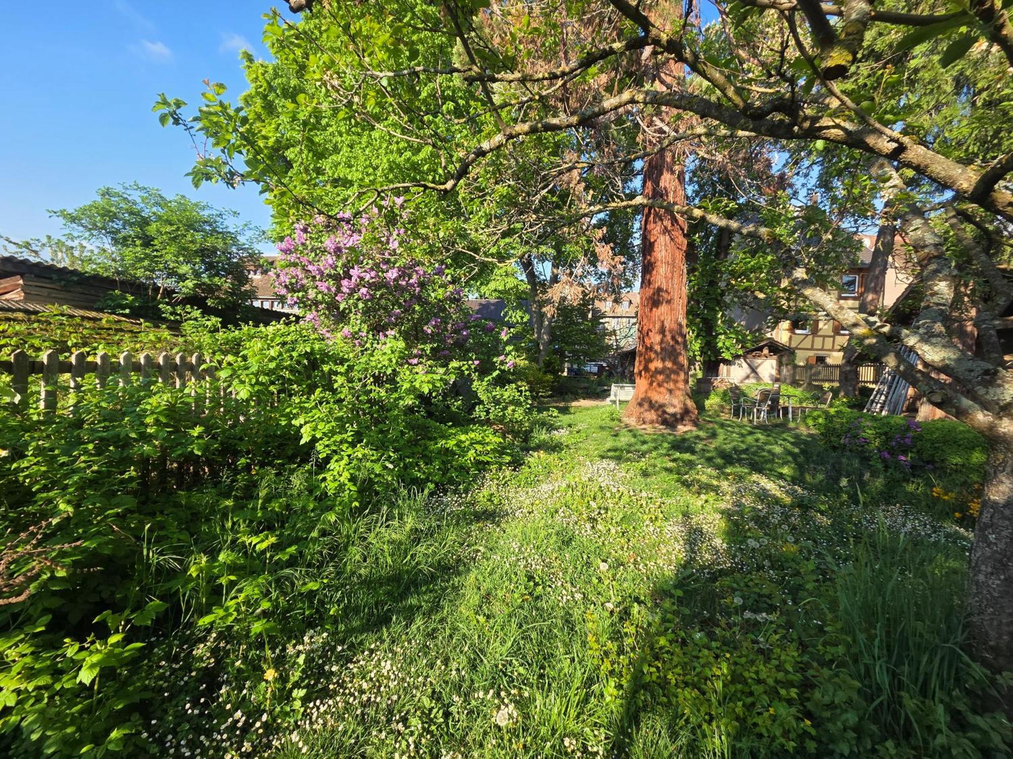 Le Temps Des Cigognes Villa Бар Екстериор снимка