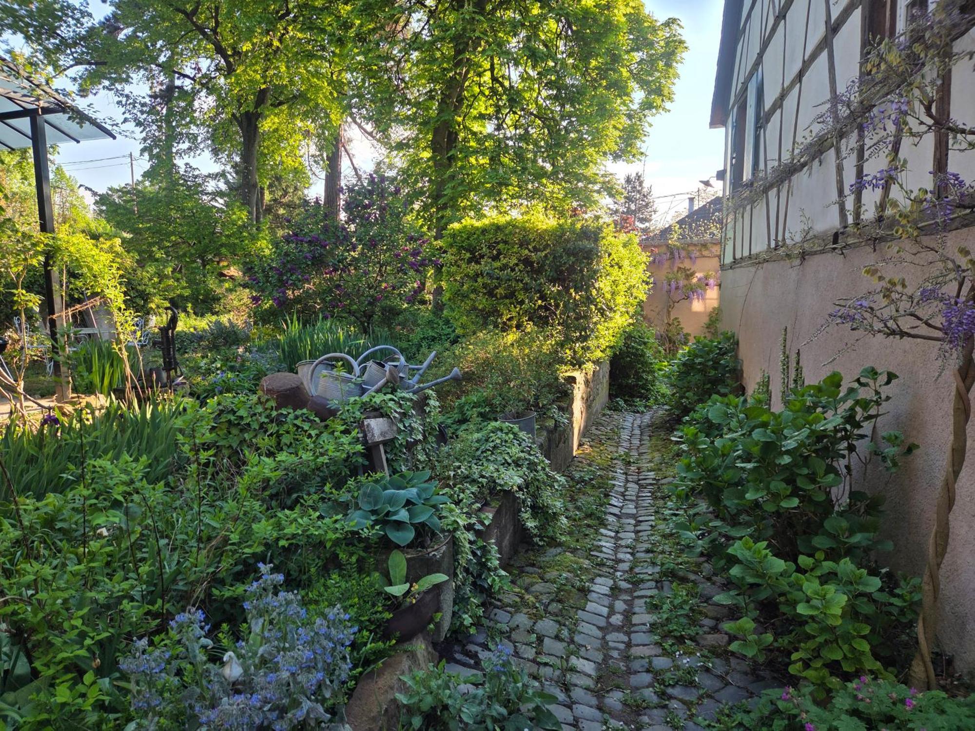 Le Temps Des Cigognes Villa Бар Екстериор снимка