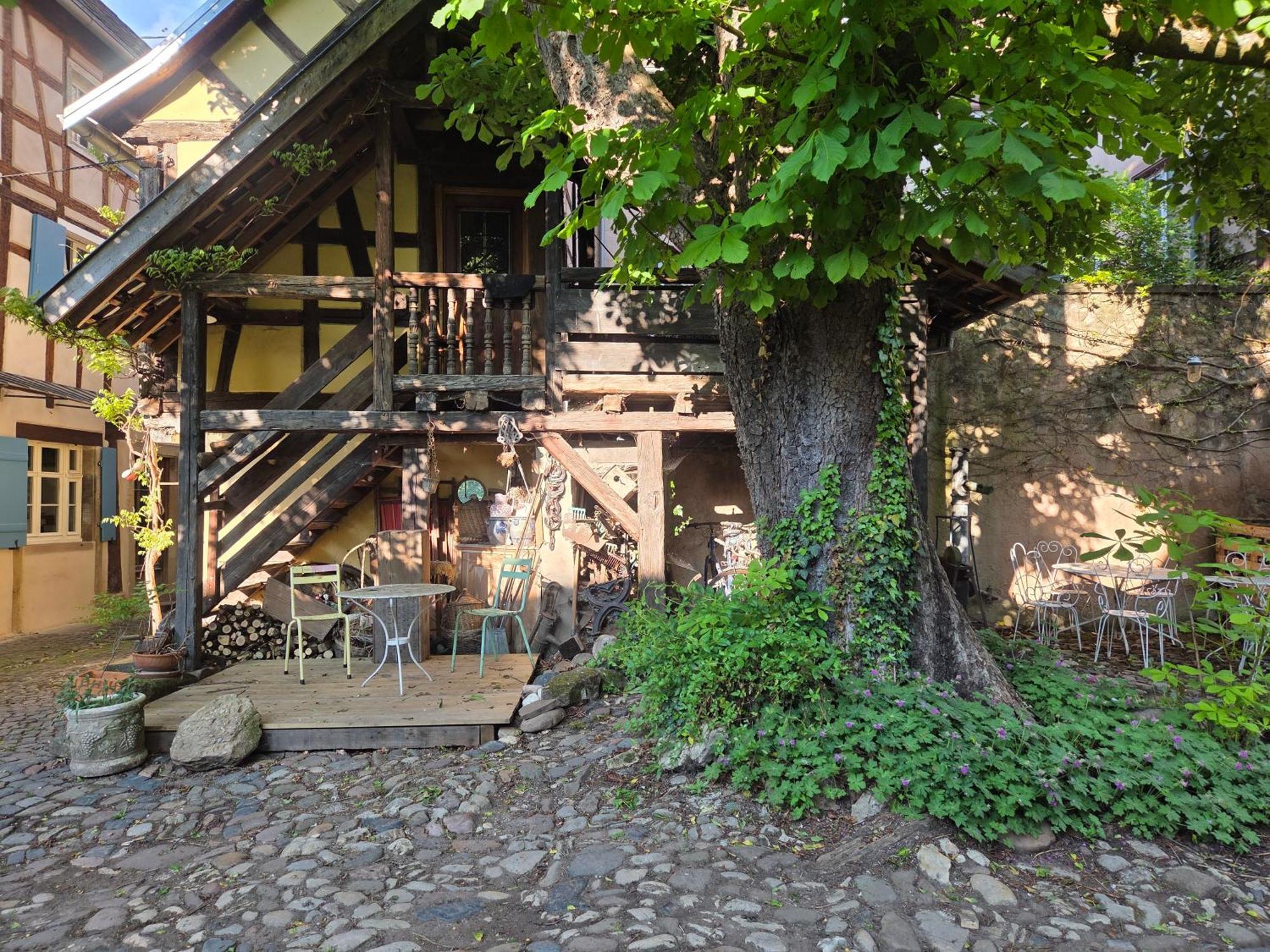 Le Temps Des Cigognes Villa Бар Екстериор снимка